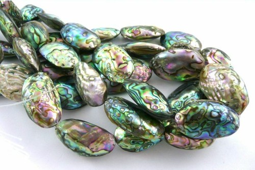 Clearance abalone coin oval - clearance-abalone,