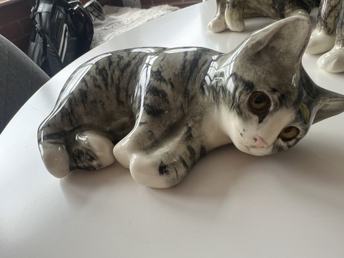 Winstanley lying cute kitten - winstanley,