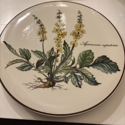 Villeroy boch botanica pot - &,