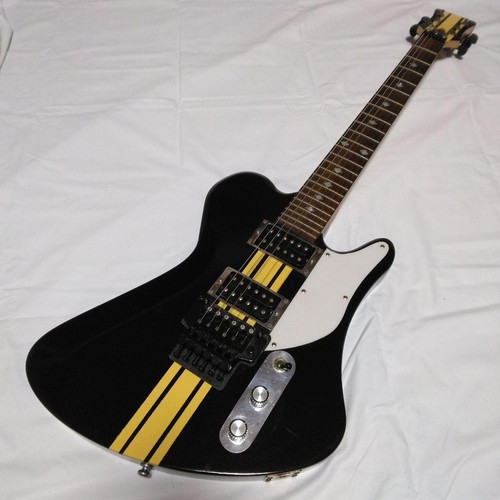 Rich mockingbird electric - bc,