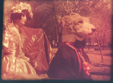 “Dog As King George”