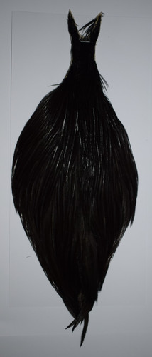 Genetic natural black cock - genetic,