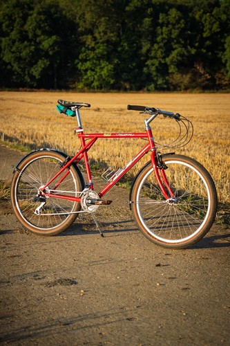 Palomar fully rebuilt - palomar,