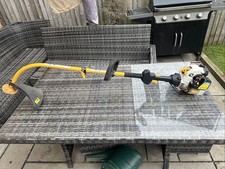 Ryobi PLT3043YE 30cc