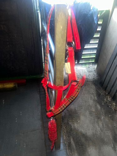 Red nylon horse headcollar - nylon,