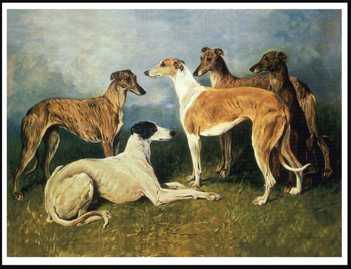Greyhound dogs group vintage - dogs,