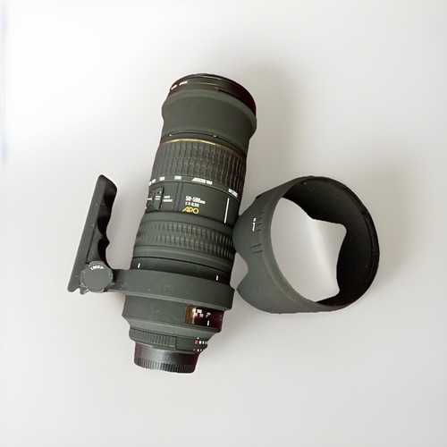 Fungus spares repair sigma - [fungus,