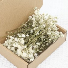 50 Dried Gypsophila Stems – Natural Baby’s Breath Flowers Gyp Buttonhole Corsage