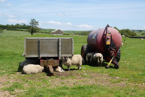 Photo farm equipment has - equipment,