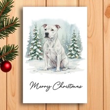 Staffordshire Bull Terrier
