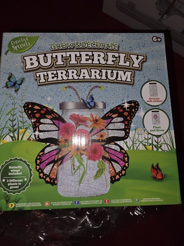 Butterfly terrarium kit - butterfly,