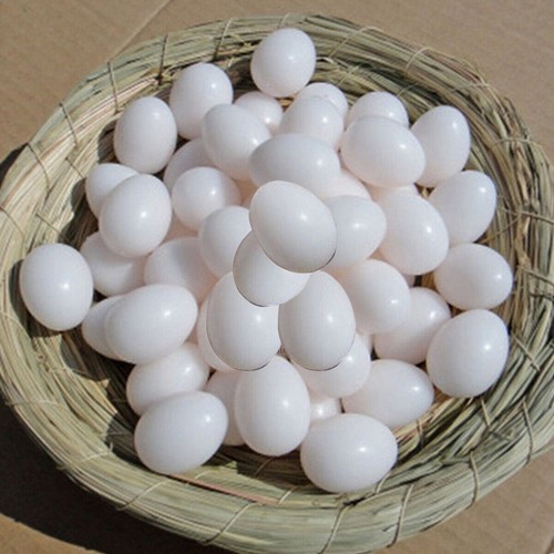 20pcs plastic fake - 5/10/20pcs,