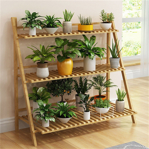 Multiple flower plant pot - plant,