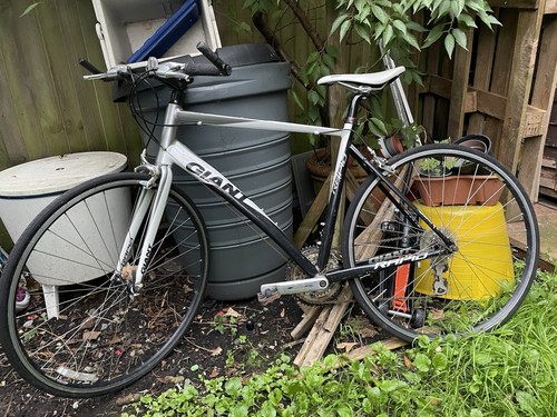 Giant rapid road - road, bike,
