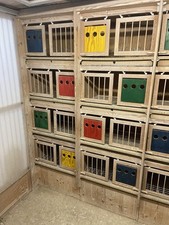 Racing pigeon Nest Boxes