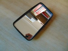 Raydyot overtaking Mirror