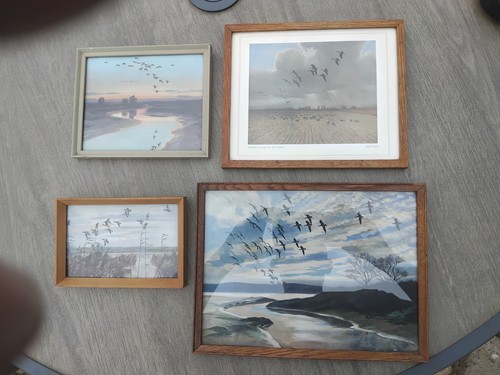 Peter scott vintage wildfowl - peter,