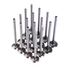 16Pcs Valves Intake & Exhaust