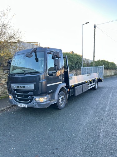 Daf beavertail plant body - lf,