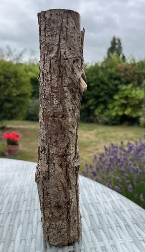28cm driftwood log branch - driftwood, with