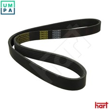 VRIBBED BELT 334 019 FOR VW