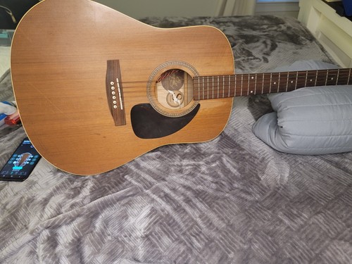 Seagull cedar dreadnought - seagull, s6+cedar