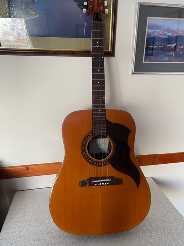 Vintage 1960 eko ranger 6 - 1960's,
