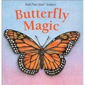 Butterfly magic - butterfly,