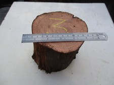 YEW log native  hardwoods