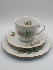Chodow Bone China  Made In Czechoslovakia  Trio Cup Saucer and Plate