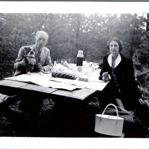 1948 denver picnic - denver, snapshot