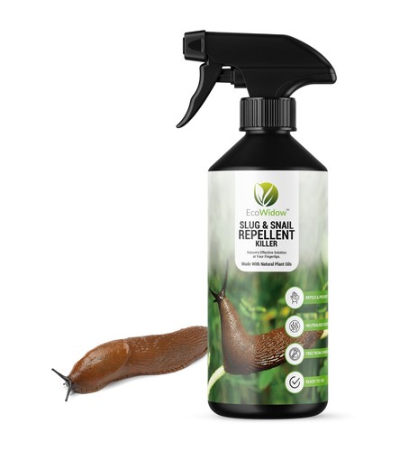 Ecowidow slug snail - &,