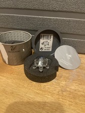 Swarovski Rare Crystal In The