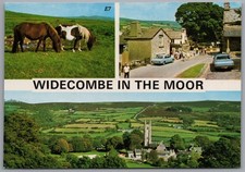DEVON Widecombe IN The More Multiview Postcard