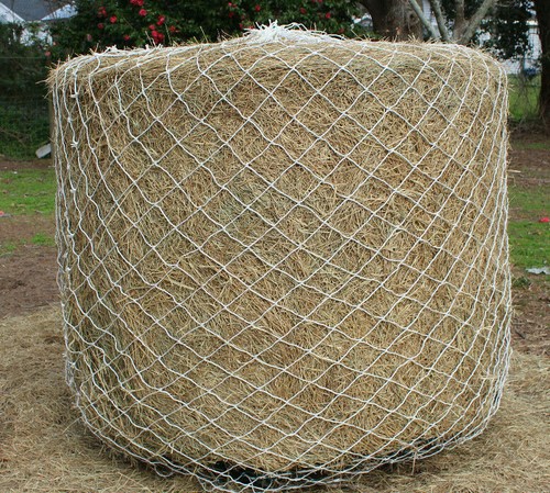 Round bale horse - bale,