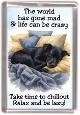 Patterdale Terrier Dog Smooth