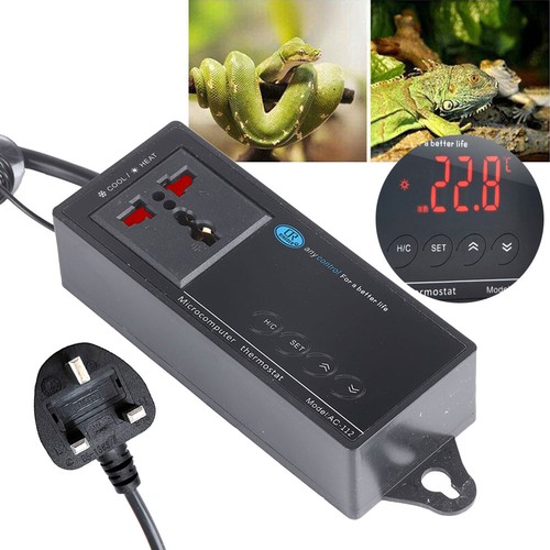 Digital reptile aquarium - digital,