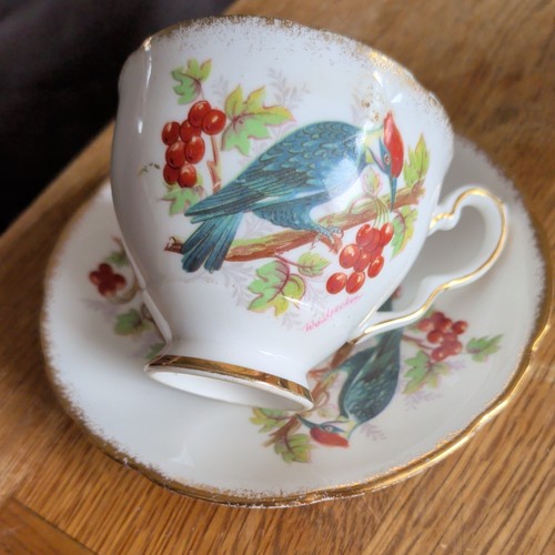 Royal stafford bone china tea - bone,