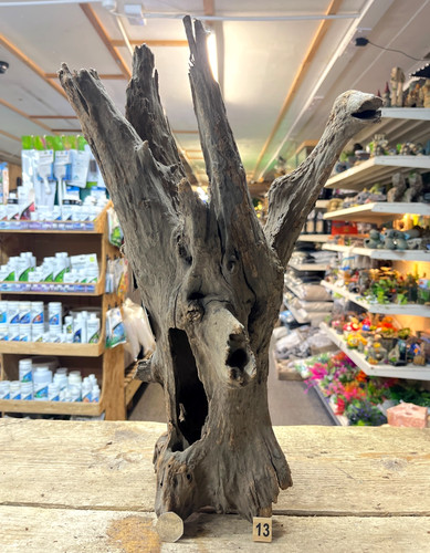 Large corbo root aquarium - corbo,