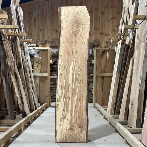 Spalted beech plank board - beech,