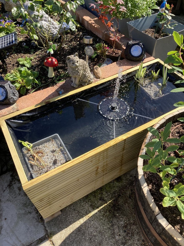 Raised garden pond - raised, wooden