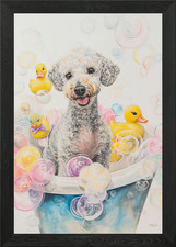 Bedlington Terrier dog Framed