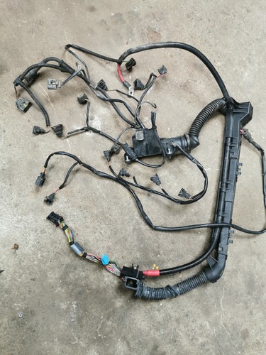 Bmw m43 engine wiring - engine,
