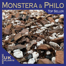 MONSTERA & PHILODENDRON