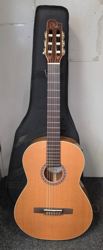 Godin concert nylon string - godin,