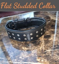 Black 2" Wide Dog Collar