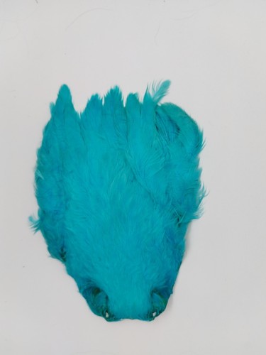 Veniard indian hen - veniard,