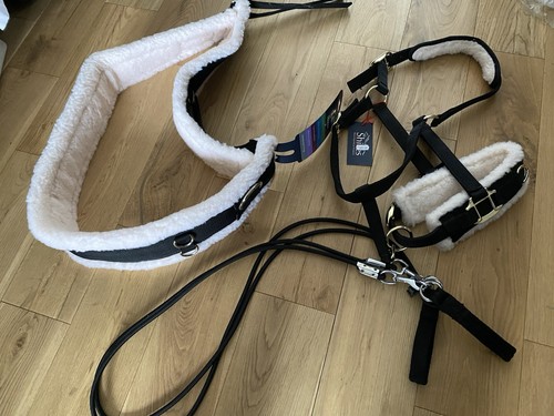 Shires lunging training aid - lunging,