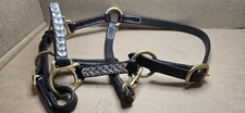 Miniature Horse Western Show Halter
