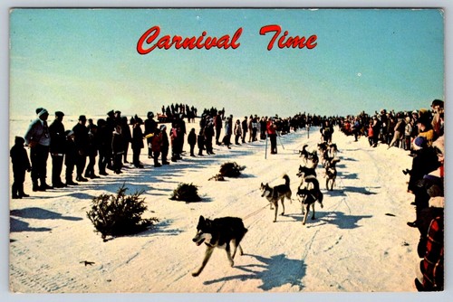 Dog sled race - sled, time